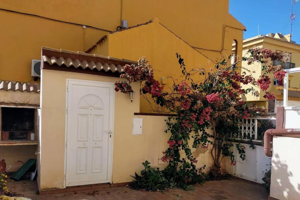 Appartamento Mar Azul Adosado, Patio Y Solarium Torrevieja Esterno foto
